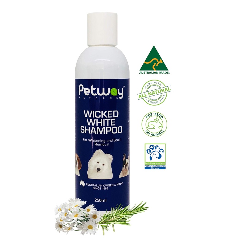 Petcare Wicked White Whitening & Stain Removal Shampoo for Dogs with White Coat, Deep Cleanse to The Coat & Skin, Free of Phosphates & Parabens, pH Balanced, Removes Dirt & Odor, 250ml