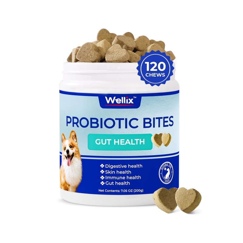Probiotics for Dogs – Dog Probiotic Chews for Dog Digestive Health, Prevents Diarrhea, Allergies – Anti Diarrhea, Upset Stomach & Gas Relief Chicken