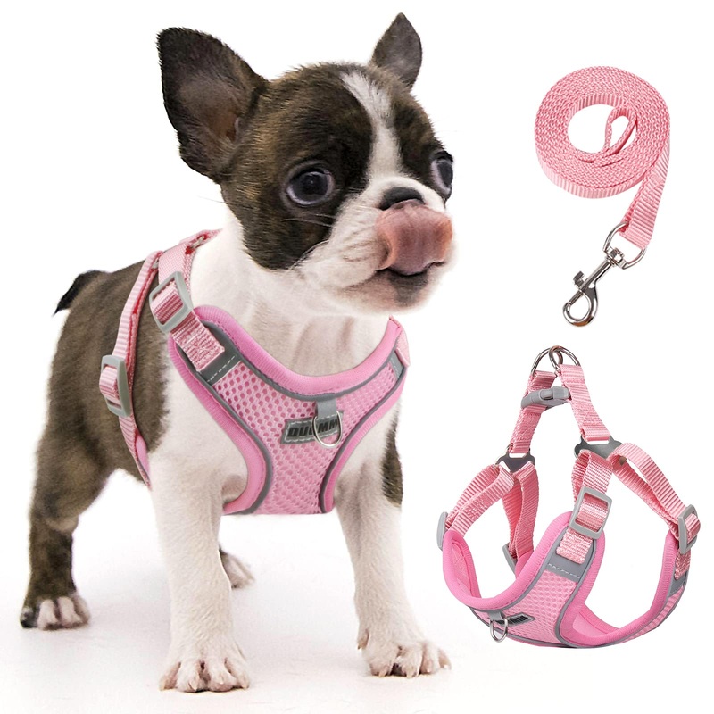 rennaio Dog Harness No Pull, Adjustable Puppy Harness with 2 Leash Clips, Ultra Comfort Padded Dog Vest Harness, Reflective Dog Harness and Leash Set for Small and Medium Dogs Pink S