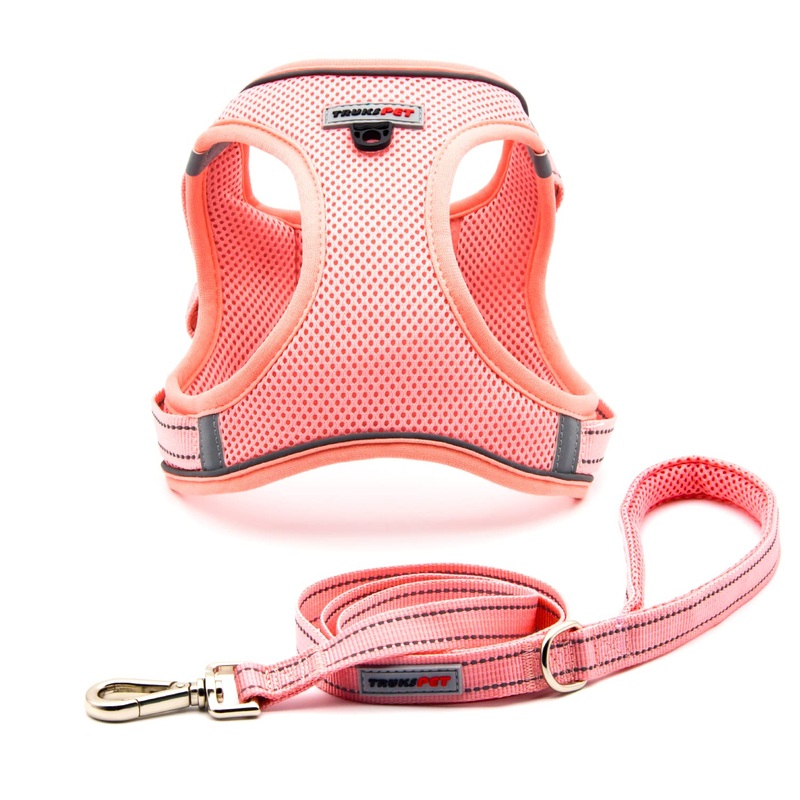 TRUKSPET Dog Harness and Leash Set,Step in no Pull Dog Harness Adjustable Reflective Padded Mesh Fabric Dog Vest for Extra-Small/Small Medium Dogs and Cats S:(Neck:10.5”-12”,Chest:14.5”-16′) Pink