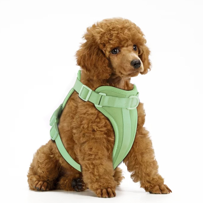 Wisedog No Pull Lightweight Dog Vest Harness with Soft and Comfortable Cushion, Breathable Mesh, for Small Medium Large Dogs Walking S(Neck: 9.84″-14.17″;Chest: 14.17″-22.05″) Mint Green