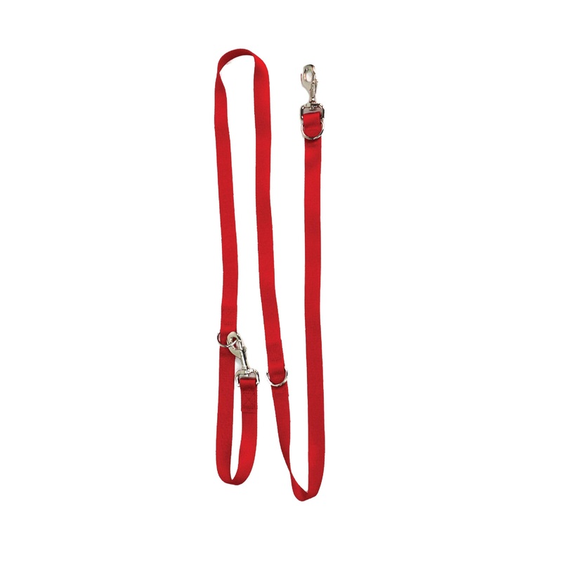 Blue-9 Multi-Function Hands Free Dog Leash, Double Attachment 6 Foot Adjustable Lead for Obedience, Running, and Agility Training Red Medium Large