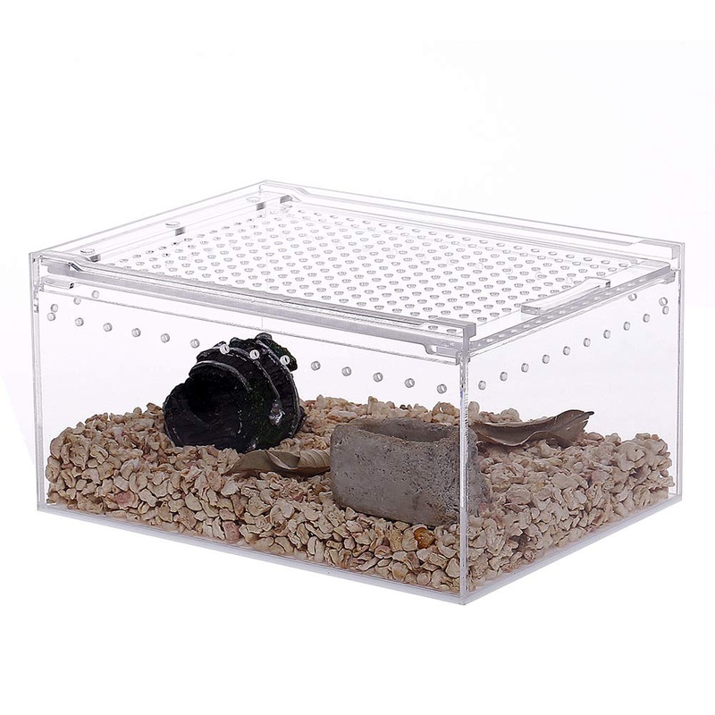 NANEEZOO Magnetic Acrylic Reptile Case – 8″x6″x4″ Flat Long Enclosure Transparent Reptile Breeding Box Terrarium Cage – for Tarantula Scorpion Sling Isopods Invertebrates & Insect Mantis