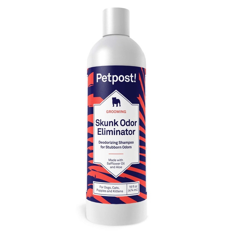 Petpost | Skunk Odor Shampoo for Dogs – Naturally Effective Deodorant Shampoo and Bad Smell Killer – Skunk Shampoo for Dogs or Cats 16 oz. 16oz.