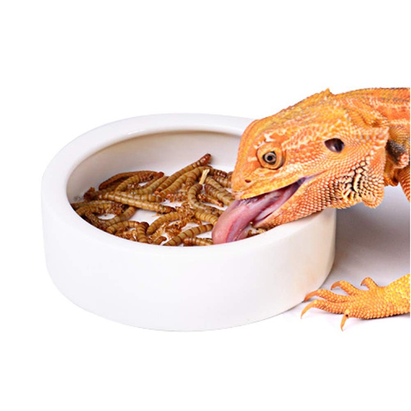 Reptile Food Water Bowl, 2 pcs Ceramics Worm Dish ,Anti-Escape Reptile Water Feeder ,Mealworm Bowl for Lizard Gecko Bearded Dragon, (S,M,L) (Large) Large
