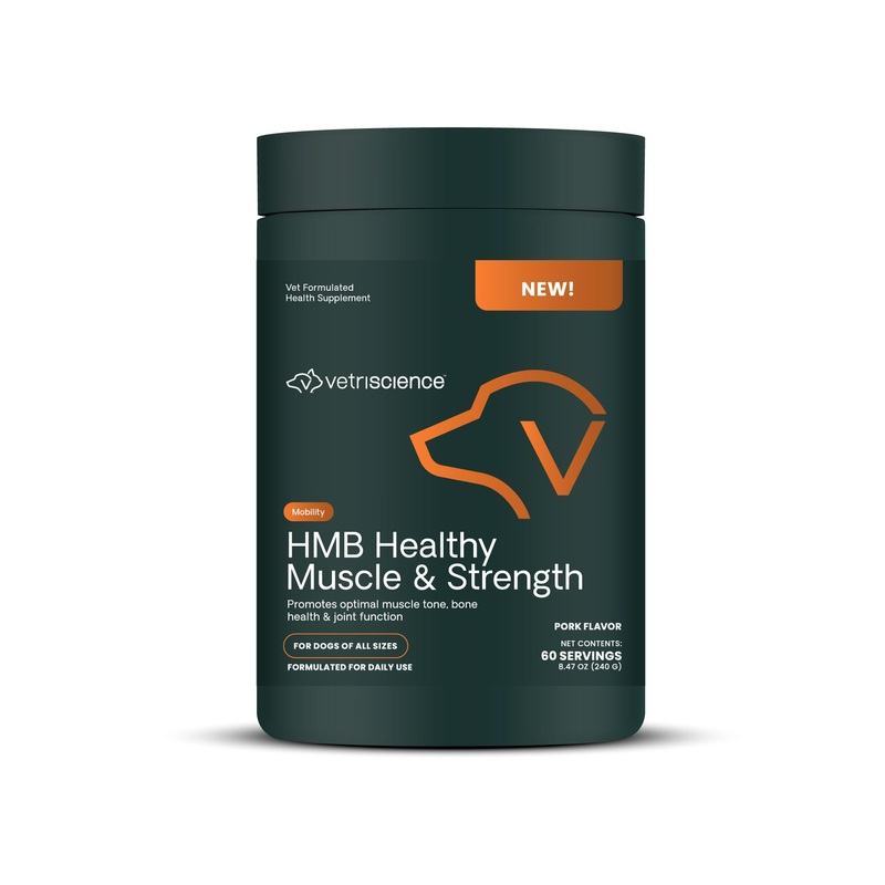 VetriScience HMB Healthy Muscle & Strength Granules, Muscle Formula for Dogs, HMB, Type II Collagen & Curcumin for Muscle Building, Recovery After Surgery, Mobility Support, Joint Health, Pork Flavor