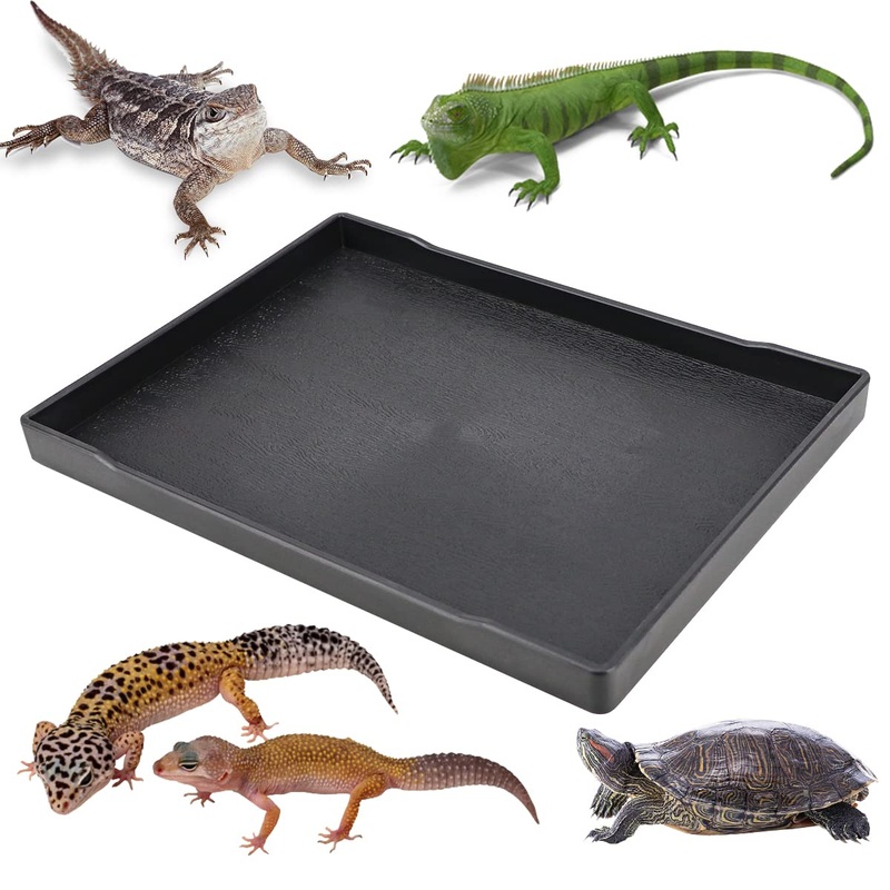 YOLUFER Reptile Food Water Bowl Plate Dish for Tortoise Crawl Pet Drinking and Eating Hallow Water Dish for Reptiles Size3-L