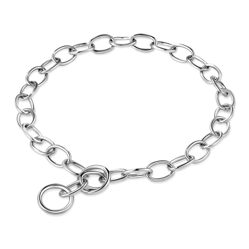 Alainzeo Chain Dog Training Choke Collar, for On-Leash Walking, Long Links 4.0mm, 26 inch