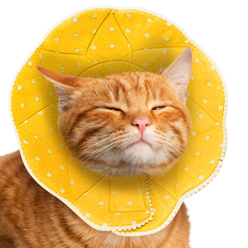 SunGrow Cat Cone Collar Soft, Stop Licking E Collar for Recovery, Post Surgery Stress Relieving with Adjustable Strap Enclosures 9″ – 10.5″ Neck Size, Yellow