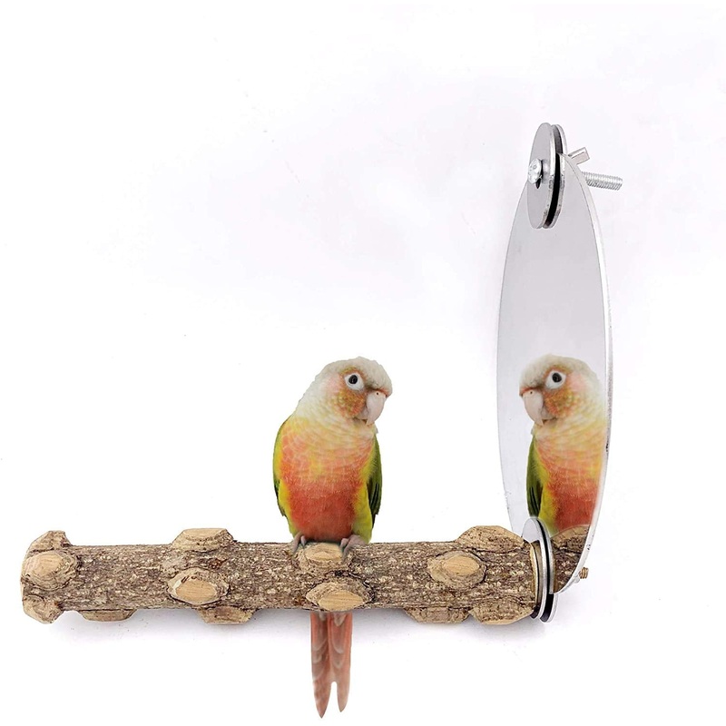 Borangs Bird Mirror with Perch,5 inch Stainless Steel Parrot Mirror Toys Comfy Perch for Greys Amazons Parakeet Cockatiel Conure Lovebirds Finch Canaries