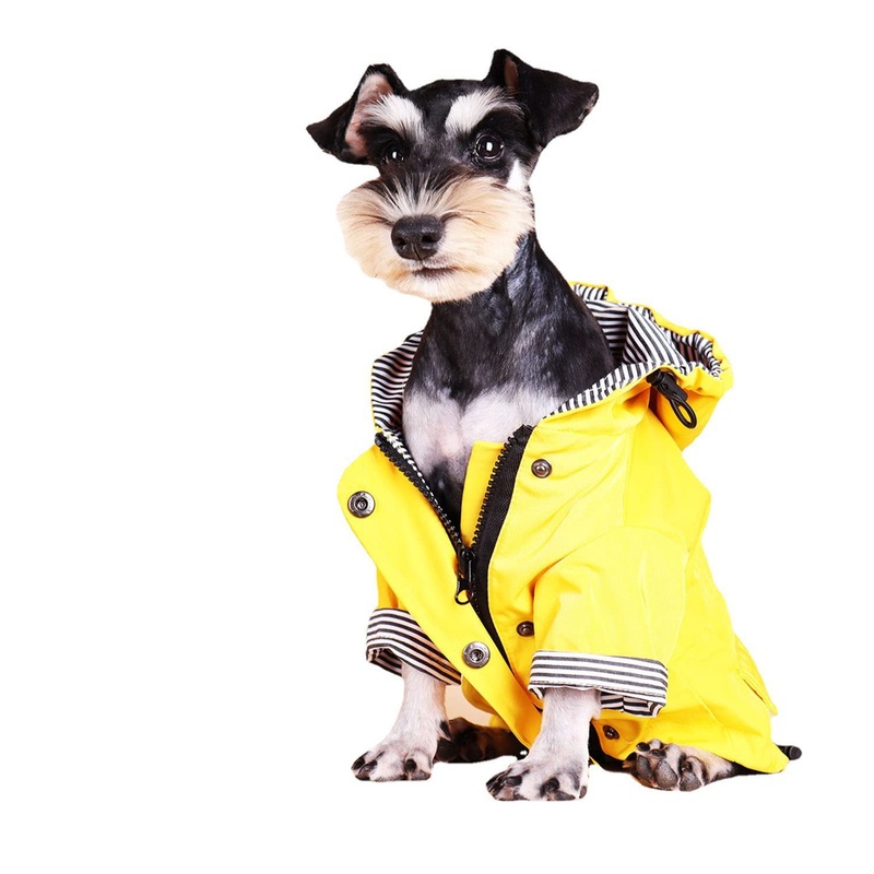 Dog Raincoat Jacket with Zip up Yellow rain Coat Hoodie Water Resistant Stylish Dog Raincoats Medium