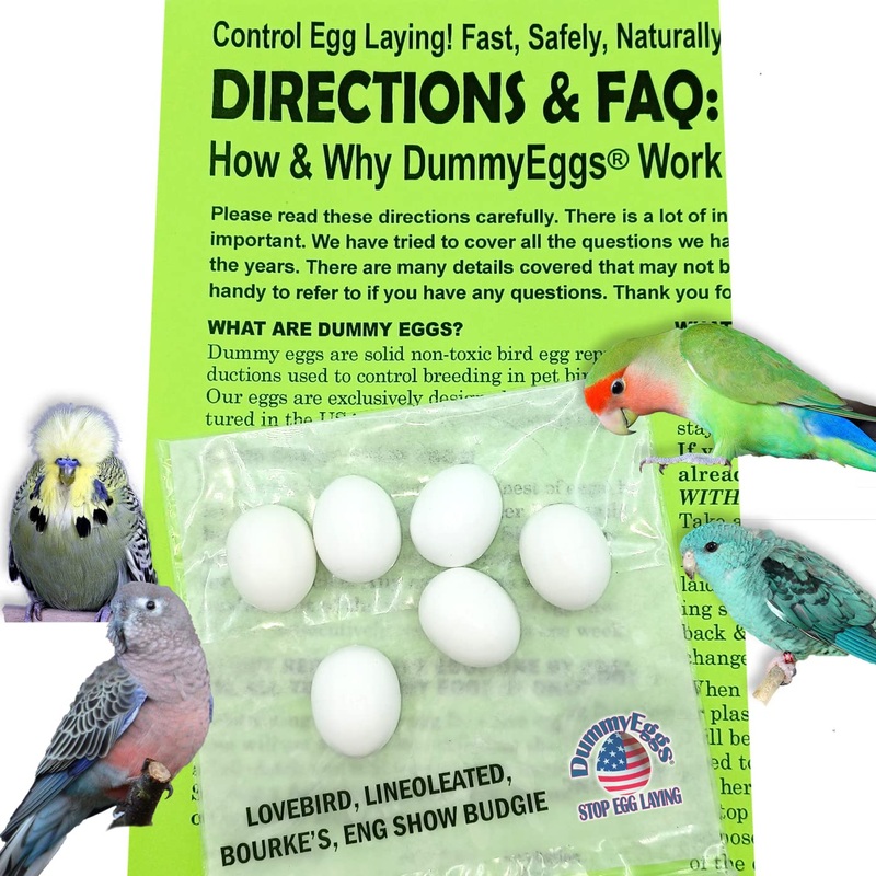 DummyEggs USA. 6 Lovebird Dummy Eggs. Stop Laying! Realistic Plastic Fake Bird Eggs. Perfect for Lovebird, Lineoleated, Eng Budgie. Non-Toxic Solid Premium White Plastic 7/8″ x 3/4″ Laid in USA!