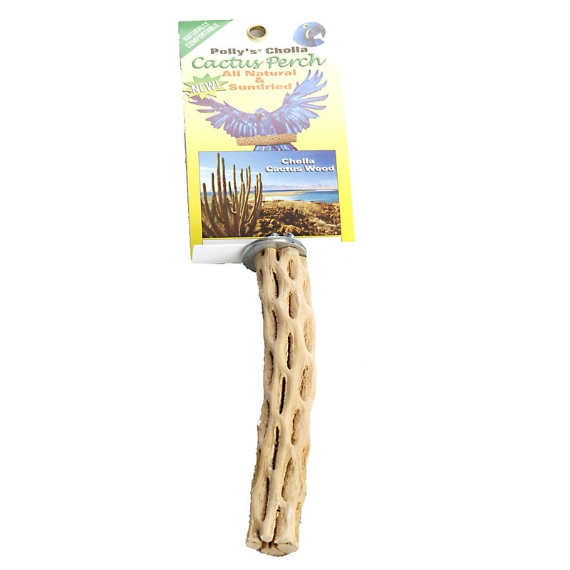 Polly’s Cholla Cactus Bird Perch, Small