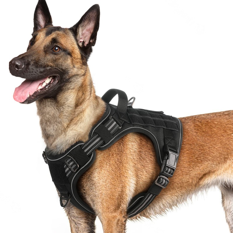 rabbitgoo Dog Harness for Large Dogs No Pull, Tactical Service Dog Vest with Molle and Control Handle, Adjustable and Reflective Military Pet Harness for Easy Walking and Training, Black, L