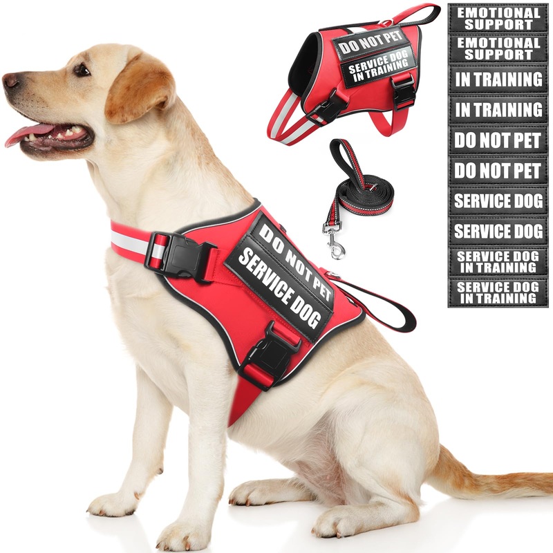 Service Dog Vest Harness and Leash Set+10 Patches,No Pull&Adjustable Reflective Dog Harness with Soft Padded Handle for Training/Everyday,Fit Small/Medium/Large/Extra-Large Dogs(Red L) Large Red