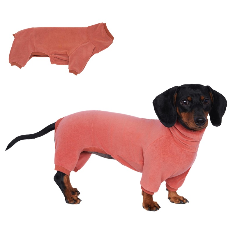 Dachshund Dog Turtleneck Warm Sweater, Winter Clothes, Suitable for Dachshunds (red, Small) red