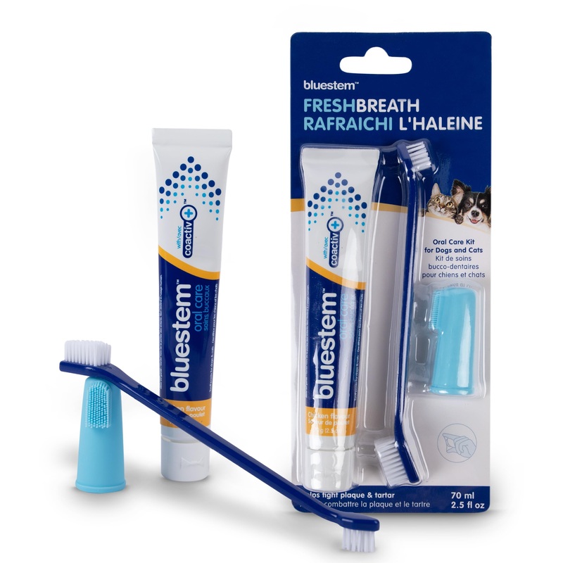 Bluestem Dog & Cat Toothbrush and Toothpaste Kit – Dog and Cat Toothpaste with Coactiv+ Technology to Reduce Tartar Buildup – Sticky and Long-Lasting Cat and Dog Toothpaste – Chicken Flavor Chicken Oral Kit