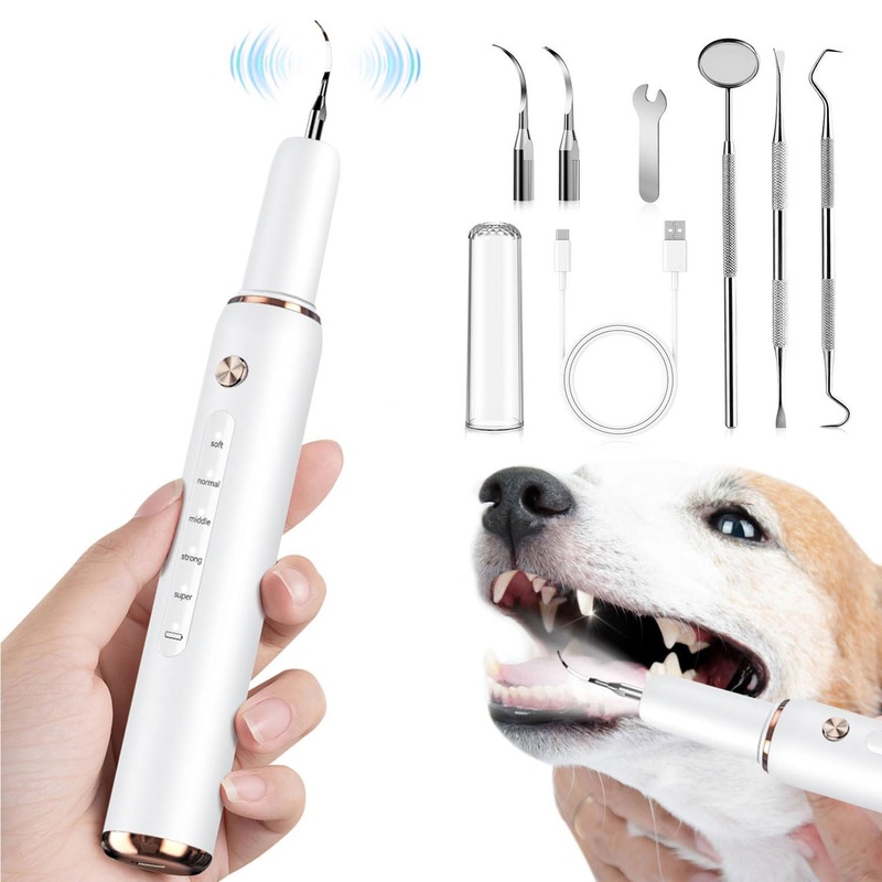 Dog Plaque Remove for Teeth,Dog Plaque Tartar Remover,Dog Teeth Cleaning Kit,Dog Electric Toothbrush,Effective Teeth Cleaning for Pets,Dog Plaque Removal,Canine Plaque Remover 5 Modes WHITE01