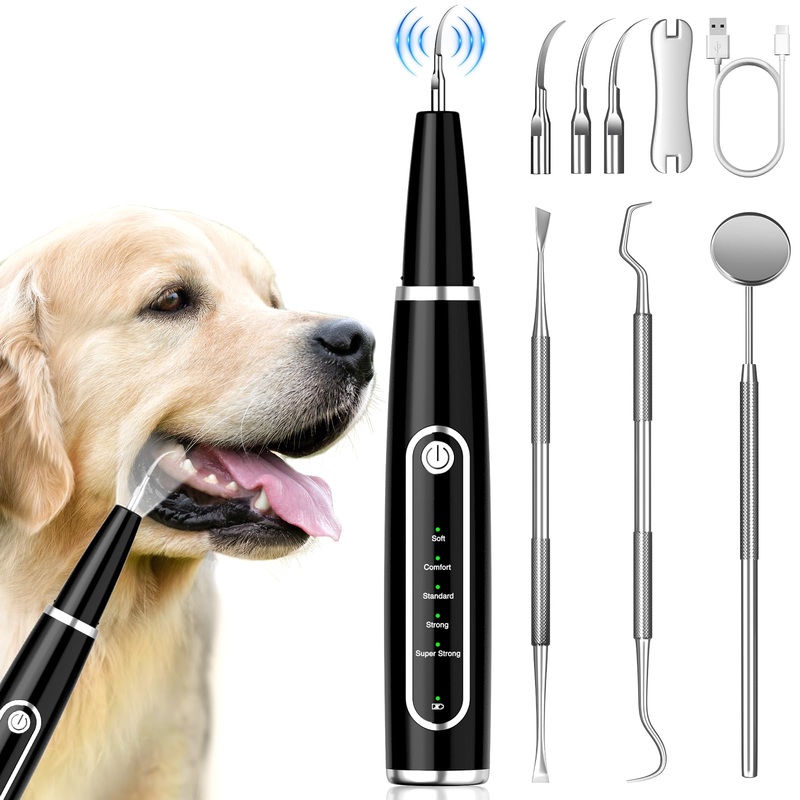 Dog Plaque Remover for Teeth, Dog Teeth Cleaning Kit with LED Light and 5 Modes for Dogs and Cats,Black Black