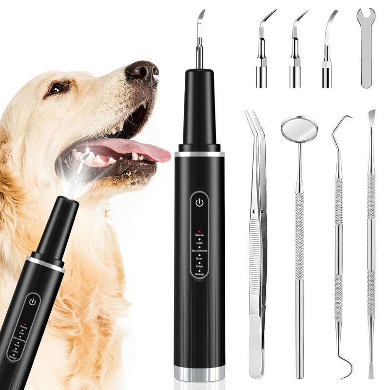 Dog Tartar Remover for Teeth, Dog Teeth Cleaning, Dog Tooth Brushing Kit, Plaque Remover for Teeth, Teeth Cleaning Kit, Safe for Dog and Cat (Black, 8.46 in) Black 1 Count (Pack of 1)