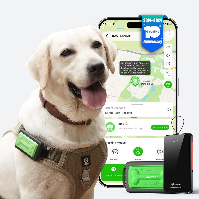 GlocalMe KeyTracker GPS Tracker for Dogs, Global Unlimited Range Pet Tracker with 6 Location Technologies for Real Time Tracking, GPS Dog Tracker with Global Network Service, Waterproof