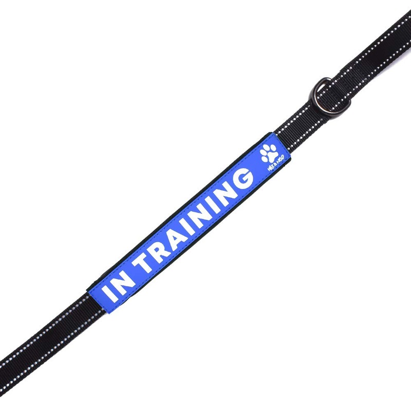 Max and Neo Leash Sleeves in Training – We Donate 1 for 1 to Dog Rescues for Every Product Sold (1 Sleeve, in Training) 1 SLEEVE