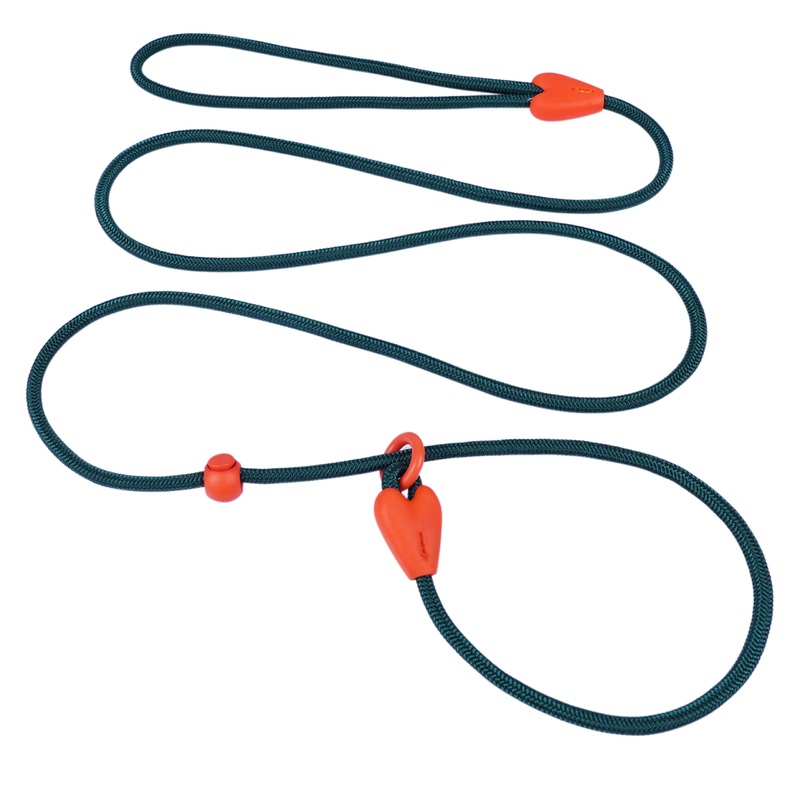 Slip Lead for Dogs Dog Leash Dog Leash for Small Medium Dogs Puppy Leash 6FT 6 Colors Strong Nylon Dog Training Leash No Pull Rope (Green) 6 FT Green
