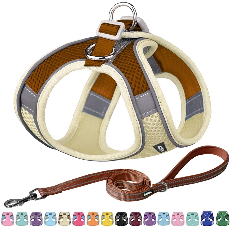 AIITLE No Pull Dog Harness and Leash Set, Step in Adjustable Dog Harness with Padded Vest for All Weather, Dog Leash with Soft Padded Handle, Easy to Put on Small and Medium Dogs Beige S S(Chest: 13.5 – 16″) Beige-Brown