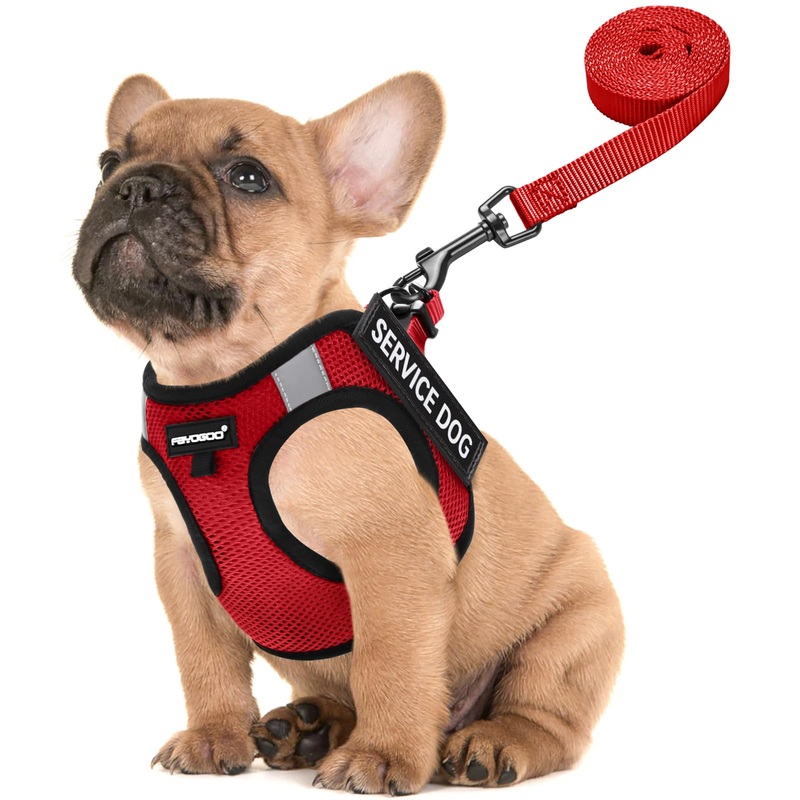 FAYOGOO Service Dog Vest for Small Breed – Lightweight Dog Harness with 6PCS Removable Patches – Puppy Harness and Leash Set for Walking,Training Red S(Chest 12”-14”)