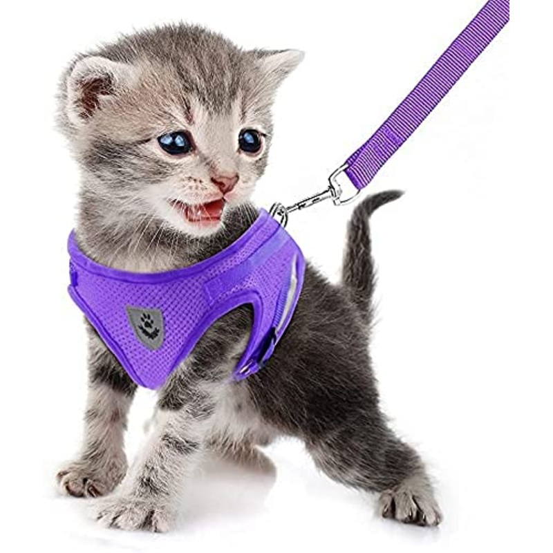 FEimaX Dog Harness and Leash Set for Walking, Soft Mesh Adjustable Easy Control Lightweight Cat Vest Harnesses with Reflective Strips, Escape Proof Small Dogs Cats Vests Purple X-Small