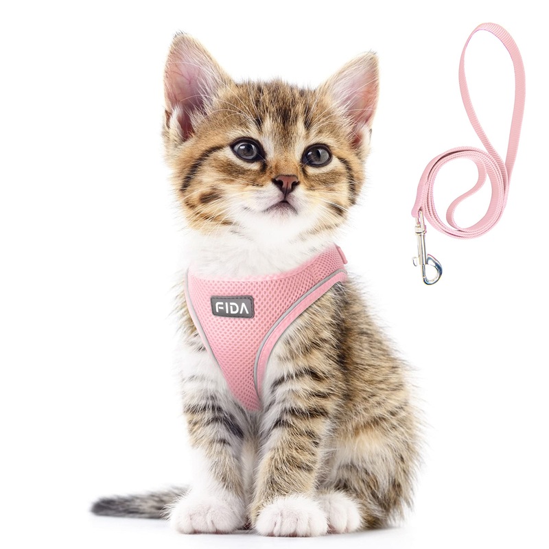 Fida Cat Harness and Leash Set for Walking Kitten and Puppy, Escape Proof Kitten Harness with Breathable Lightweight Soft Mesh, Adjustable Reflective Step-in Design. (XXXS, Pink) XXXS (Neck:10.2″-11.4″; Girth:11.4″-12.6″)