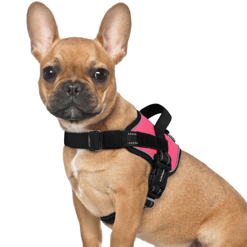 rabbitgoo Dog Harness for Small, Easy On Pet Vest with One Buckle, No Pull Adjustable Service Harness with D-Ring & Handle, Reflective for Safety Walking, Training, Pink, S