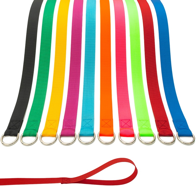 Slip Lead Dog Leash – 10 pcs Colorful 6 FT Short Dog Leashes with O-Ring for Small Large Dogs Puppy Cats Walking Training Running Rescues Grooming Shelter,etc.