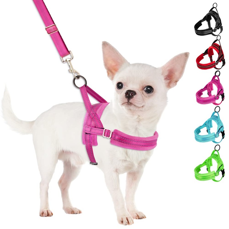 SlowTon No Pull Small Dog Harness and Leash Set, Puppy Soft Vest Harness Neck & Chest Adjustable, Reflective Lightweight Harness & Anti-Twist Pet Lead Combo for Small Medium Dogs (Fuchsia, XXS) XX-Small (Chest 11.5-15.0″) A-Fuchsia