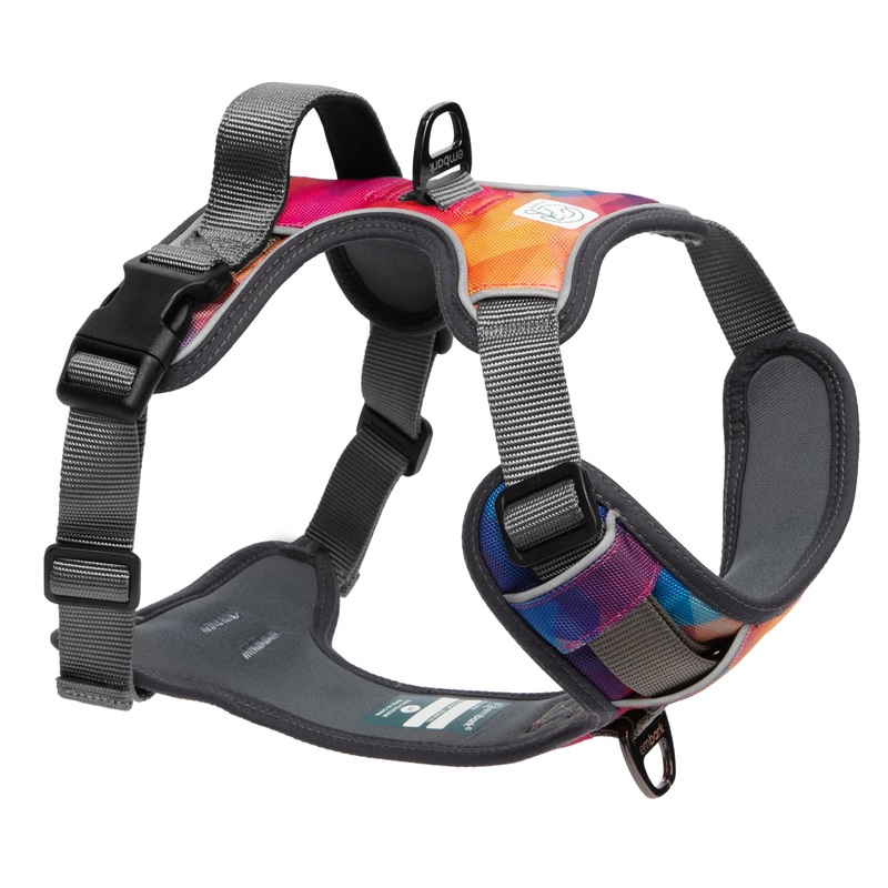 Embark Urban Dog Harness, No-Pull Reflective Trim Dog Harness for Small, Medium & Large Dogs – Heavy Duty Oxford, 2 Leash Clips & Gel Lined Handle. Soft & Padded Puppy Dog Vest for Any Breed S (Chest: 19-23″) Aurora