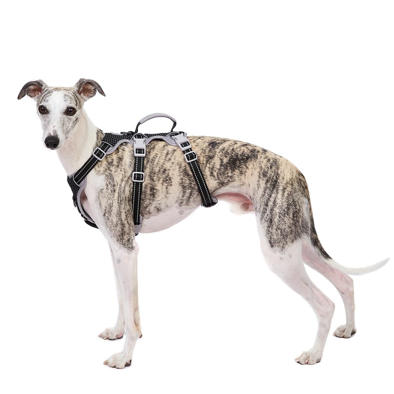 Escape Proof Harness, No Slip Dog Harness Escape Proof,Fully Reflective Harness with Handle, Breathable,Durable, Adjustable Vest for Medium Dogs Walking, Training, and Running Gear (Black,M) Medium(Pack of 1) Black