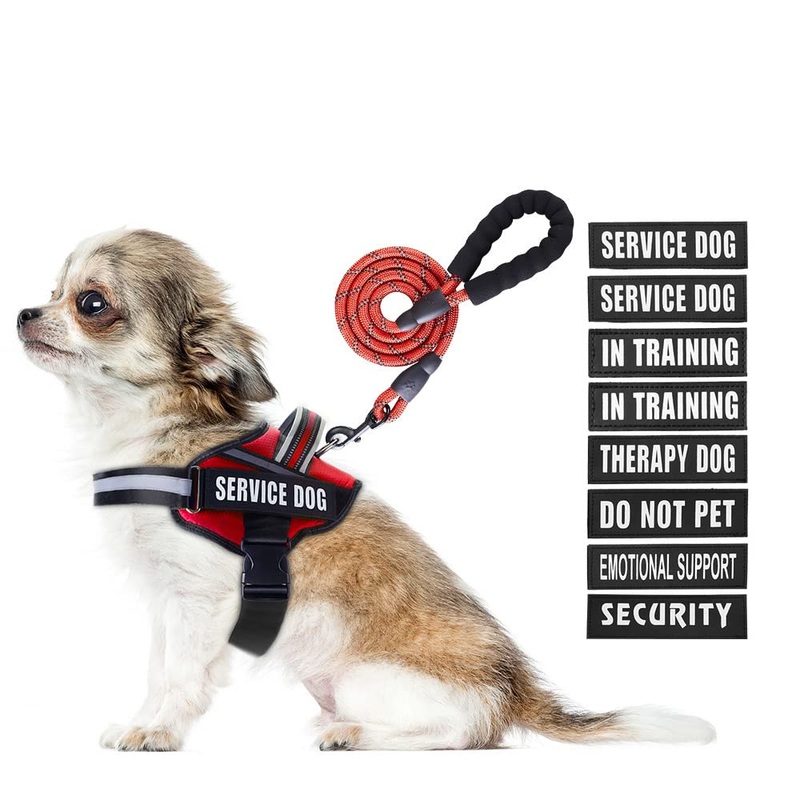 Service Dog Vest Harness and Leash Set, Animire in Training Dog Harness with 10 Dog Patches, Reflective Dog Leash with Soft Padded Handle for Small, Medium, Large, and Extra-Large Dogs (RED,XS) XS Red