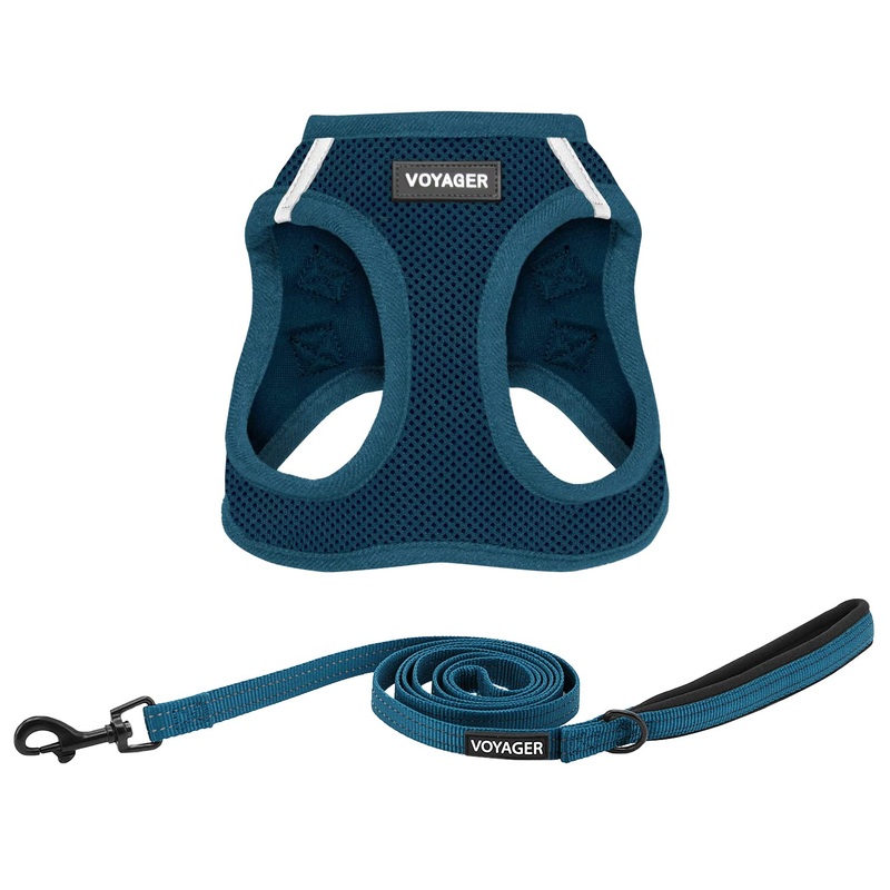 Voyager Step-in Air All Weather Mesh Harness and Reflective Dog 5 ft Leash Combo with Neoprene Handle, for Small, Medium and Large Breed Puppies by Best Pet Supplies – Harness Leash Set (Blue), L Harness Leash Set (Blue) L (Chest: 18 – 20.5″)