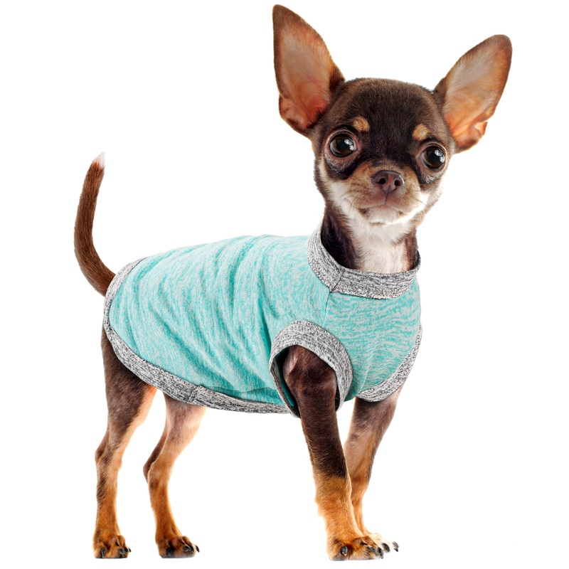 Chic Ion Polyester Dog Vest: Adorable Fashion Dog Apparel for Small, Medium, and Large Breeds, Moisture-Wicking, Soft, Anti-Static, Durable, and Easy-to-Clean Design Dog Shirt Light Blue S
