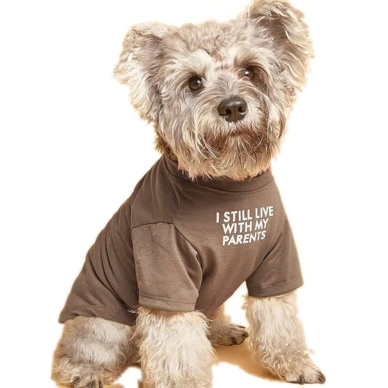Cute Dog Clothes,Dog T Shirt for Medium Dogs.Dog Clothes for Small Dogs Girl Boy,Puppy.Breathable Soft Dog Costume Pet Dogs Cats,Pet Pullover Jumper,Cat Clothes (M-(7~11lb), Chest~16″, Khaki) M-(7~11lb), Chest~16″