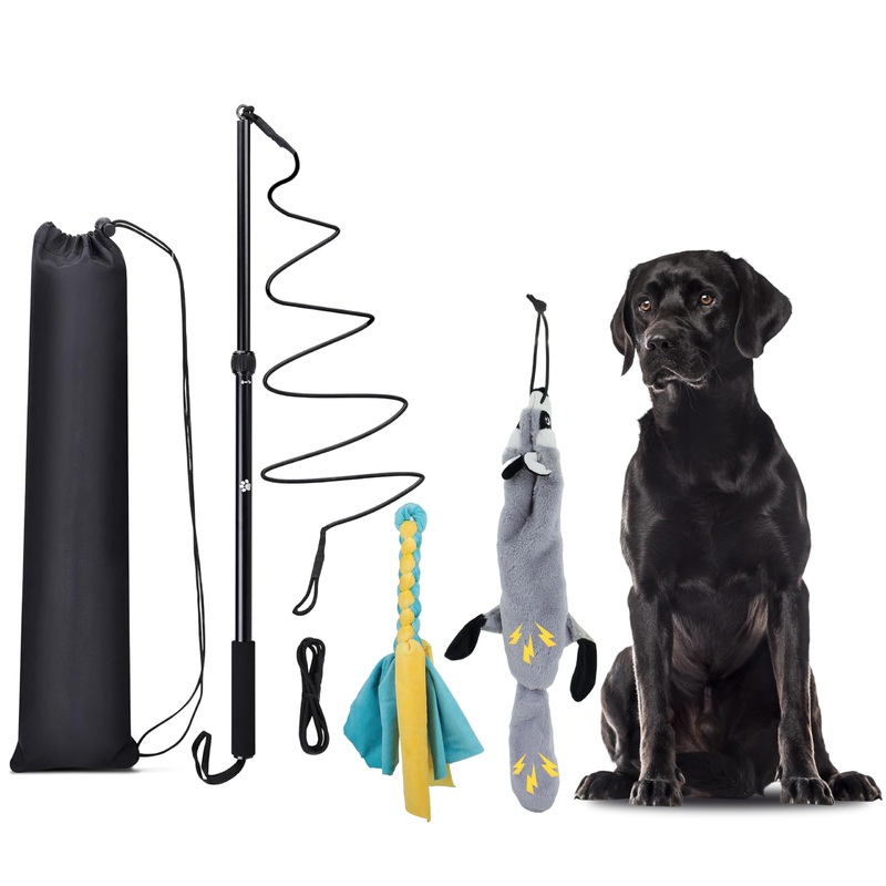 Flirt Pole Dogs, Dog Chase Toy with Squeakers Inside, Dog Fishing Pole Toy for Large Medium Small Dogs to Keep The Dog Entertained and Physically Exhausted, Rope+Beaver, L
