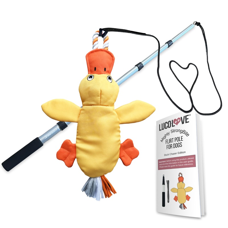 Flirt Pole for Dogs Heavy Duty – Multi-Sensory Tough Chase Toy for Medium & Large Breeds  Extra Strong 39″ Dog Teaser Wand for Backyard Play, Training and Interactive Fun (Duck) Duck