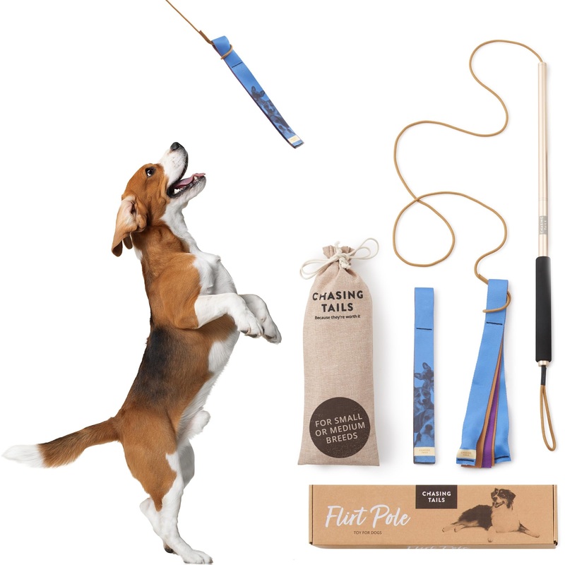 Flirt Pole for Small or Medium Dogs – 26 Inch with 70 Inch Rope and Two Toys for All Breeds – Spring Pole for Dogs, Dog Flirt Pole for Large Dogs, Dog Catcher Pole Pole – 26 Inch