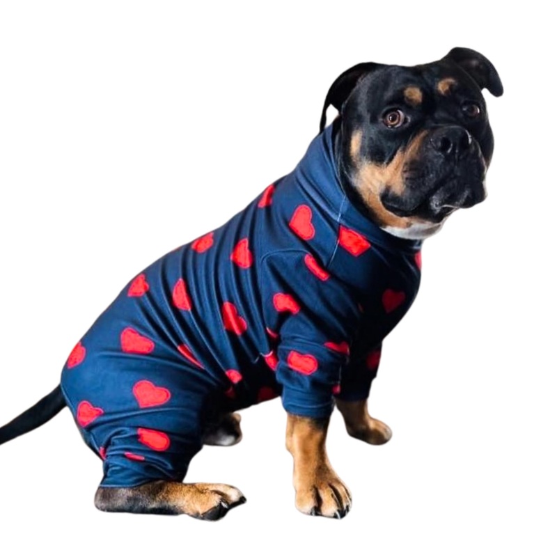 Spark Paws Dog Pajama, Ultra-Soft and 4-Way Stretch, Recovery-Suit PJ Onesie for Small, Medium and Large Breeds – Hearts – 4XL 4XL: 75-100lbs