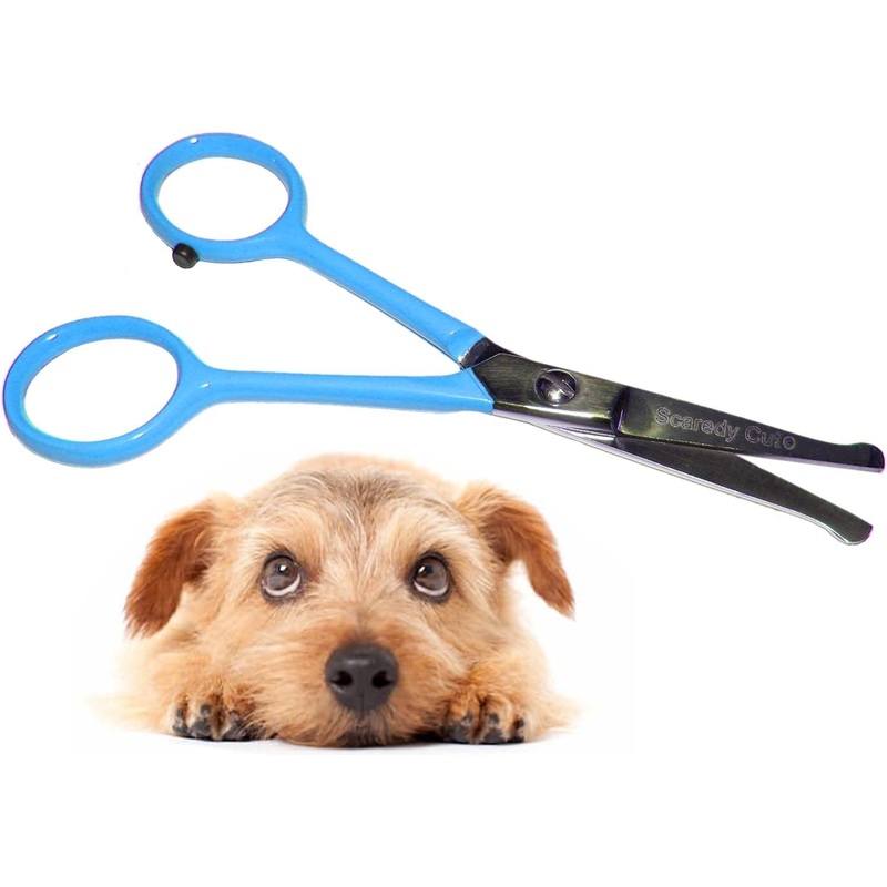 Tiny Trim 4.5″ Ball-Tipped Scissor for Dog, Cat and all Pet Grooming – Ear, Nose, Face & Paw – Scaredy Cut’s small Safety Scissor Blue Tiny Trim Safety Scissor