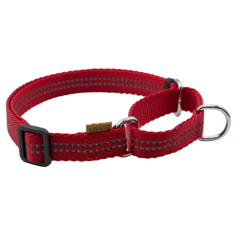 Adjustable Nylon Reflective Martingale Dog Collar for Training and Walking (Red, M (Neck: 15″-22″, Width: 3/4″)) M (Neck: 15″-22″, Width: 3/4″) Red