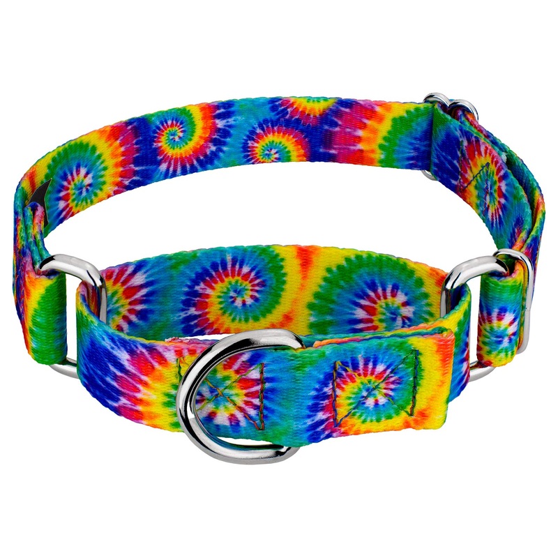 Country Brook Petz – Classic Tie Dye Martingale Dog Collar – Groovy Collection Featuring Far Out Designs (1 Inch, Large) Large (Pack of 1)