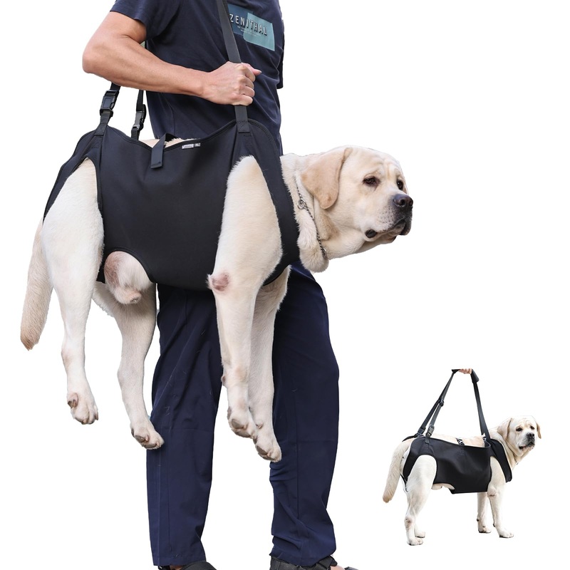 Dog Lift Harness for Large Dogs  XL Dog Sling Carrier with Handle for Hind Leg Support, Arthritis, Joint Injuries, Rehabilitation, and Assistance with Stairs, Cars, and Everyday Mobility