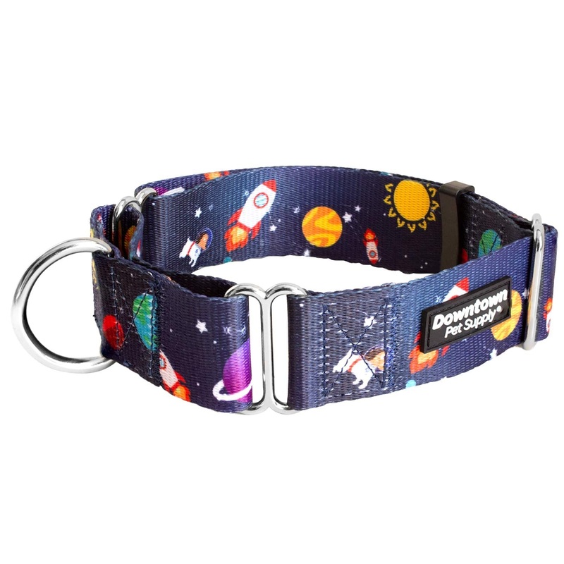 Downtown Pet Supply – Martingale Collar for Dogs – Dog Training Collar – Big, Wide & Thick Dog Collar – Escape-Proof, Weatherproof, Durable and Comfortable – Space – Large Dog Collar Large: 14″-24.5″