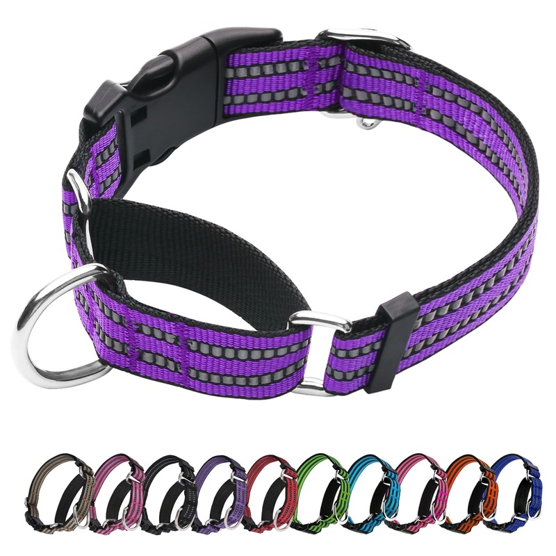 Martingale Dog Collar, Adjustable Nylon Reflective Collar with Quick Release Buckle (Real Purple, Medium) Real Purple
